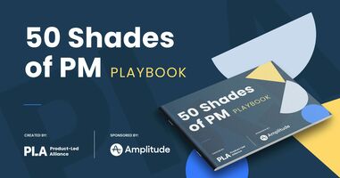 50 Shades of PM Playbook