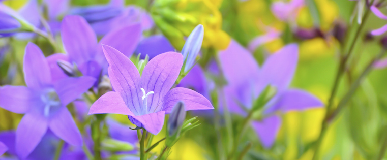 How to Think of Better Ideas Without Waiting for a Lightbulb Moment [Infographic]