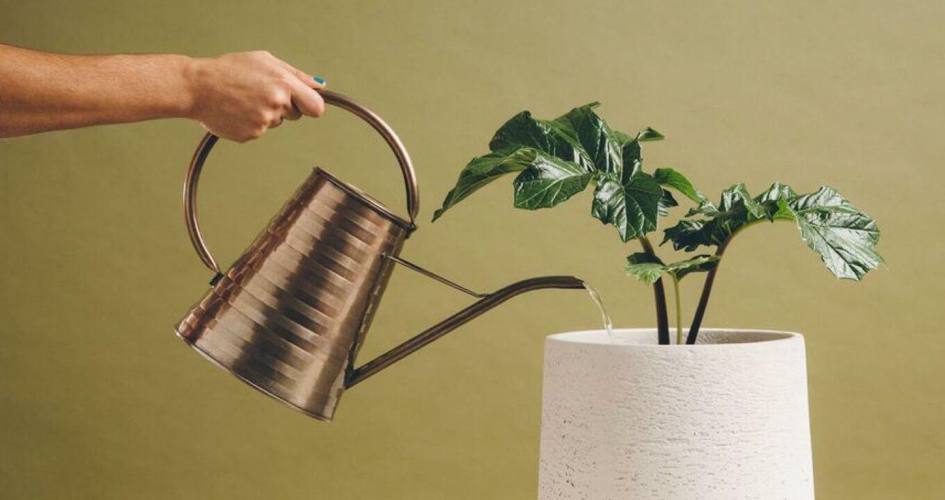 What is run rate? ARR definition, formula & examples