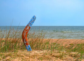 Target ROAS in Google Ads: What, When & Tips to Do It Right