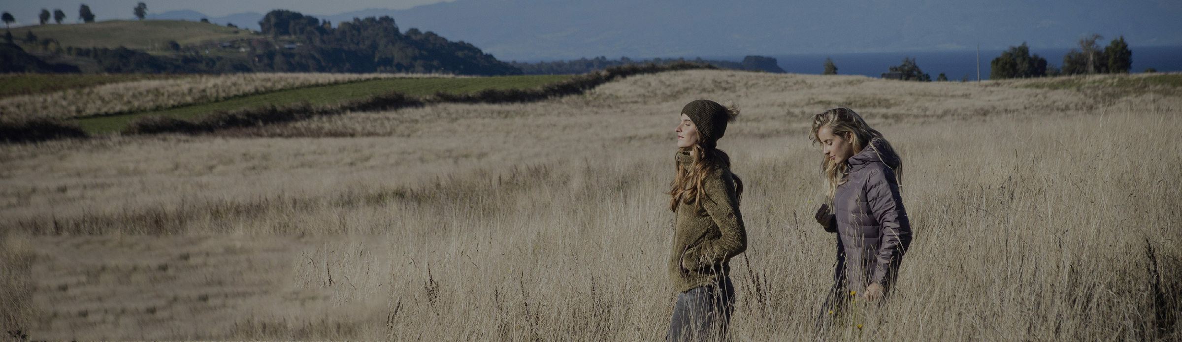 Komax grows Cyber Monday revenue 72%