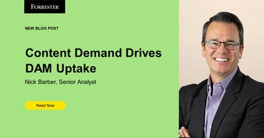 Content Demands Drive DAM Uptake