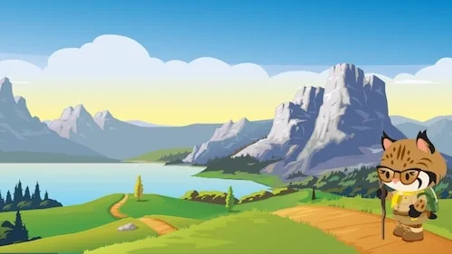 How I Went From Service Manager to Salesforce Evangelist