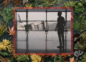 MediaRadar's 12 Ads of Christmas: 8 Planes a-Flying