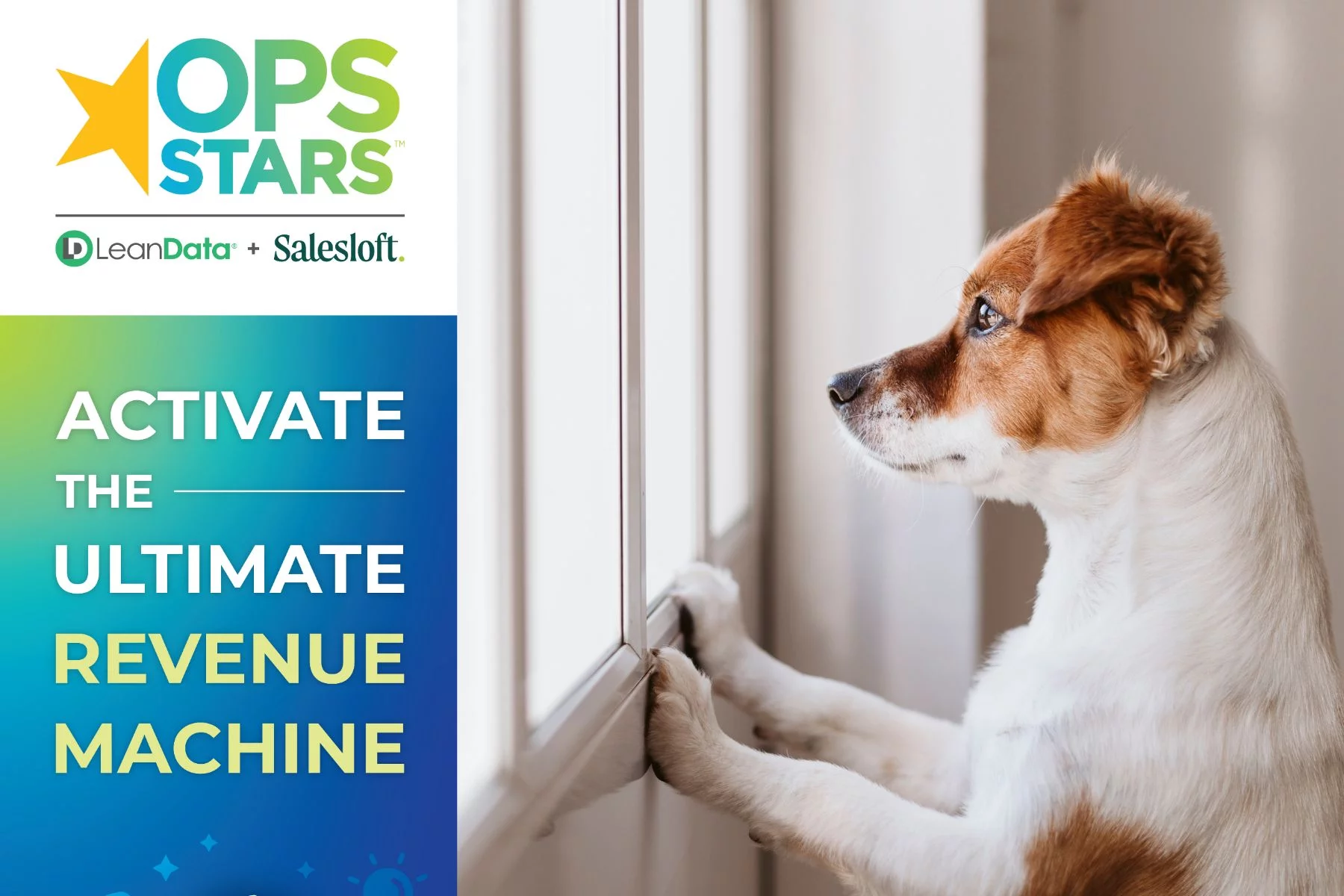 FOMO Alert: OpsStars Sessions You Don't Want to Miss