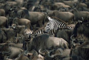 Why Context and Quality in Lead Gen Beats Higher Volumes at Lowest Cost