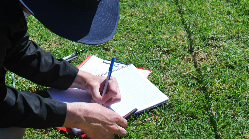 Getting started with WordPress forms: Gravity Forms, Google Forms and more