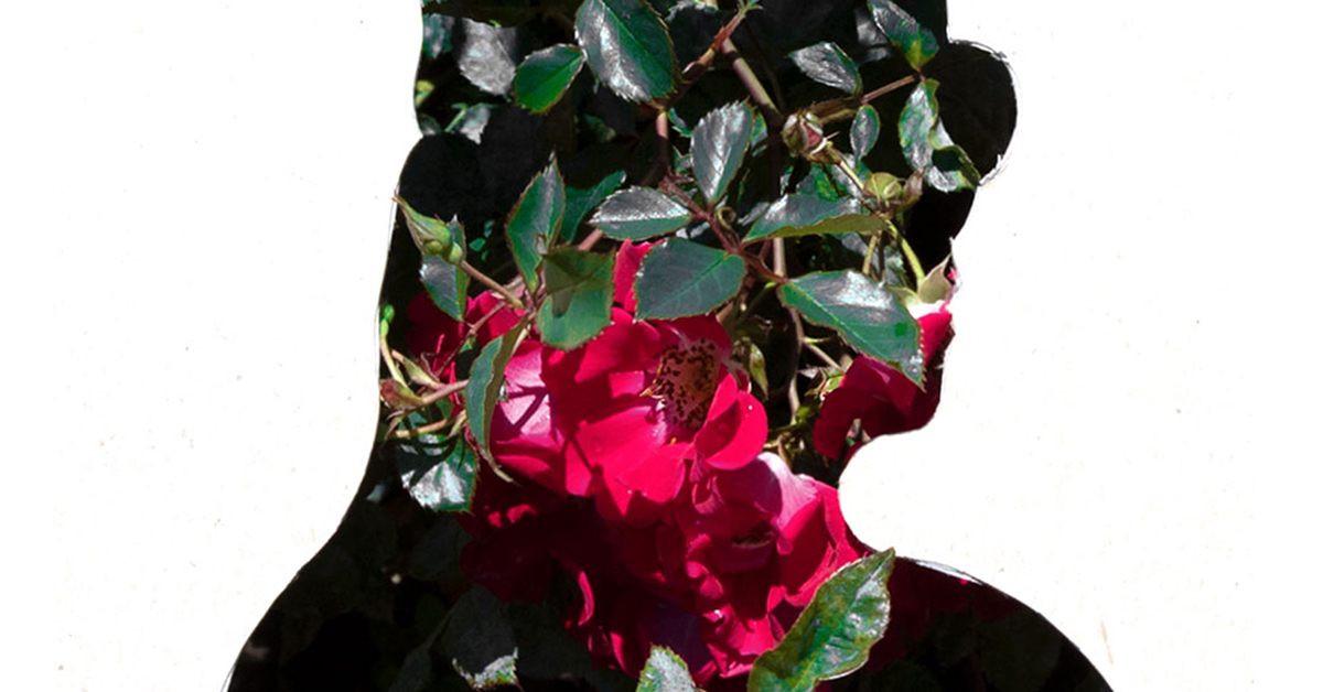 Jenny Odell, author of "How to Do Nothing," on resisting the attention economy