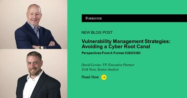 Vulnerability Management Strategies: Avoiding A Cyber Root Canal