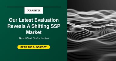 Our Latest Evaluation Reveals A Shifting SSP Market