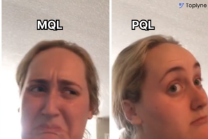 Everything You Need To Know About Product Qualified Leads