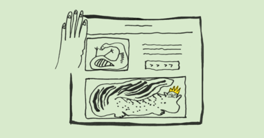  E-commerce Website Design Tips That Help You Sell More