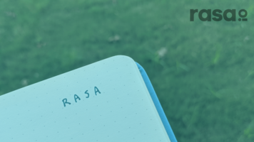 How Much Does rasa.io Cost for Enterprise-Level Users? The 9 Factors That Influence Price