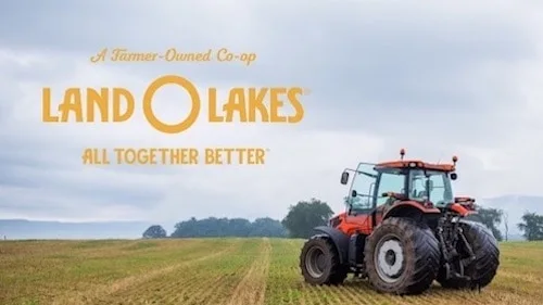 Measuring Brand Transformation With Land O'Lakes