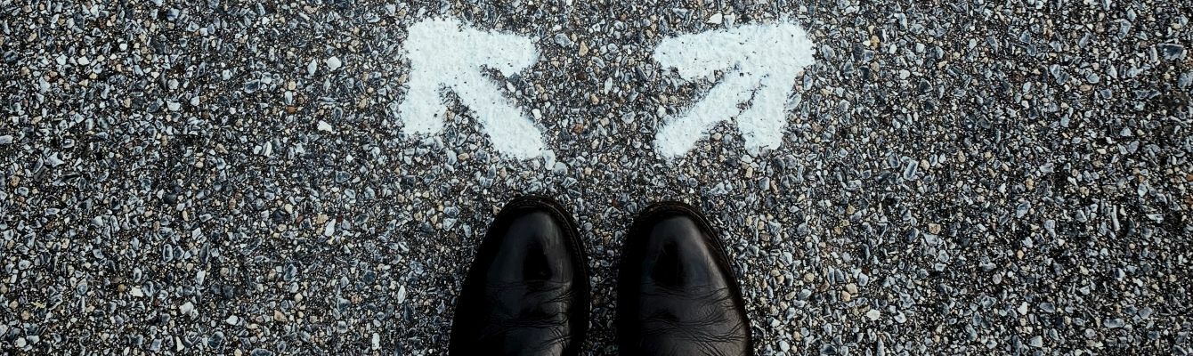 Affiliate networks vs. affiliate tracking software