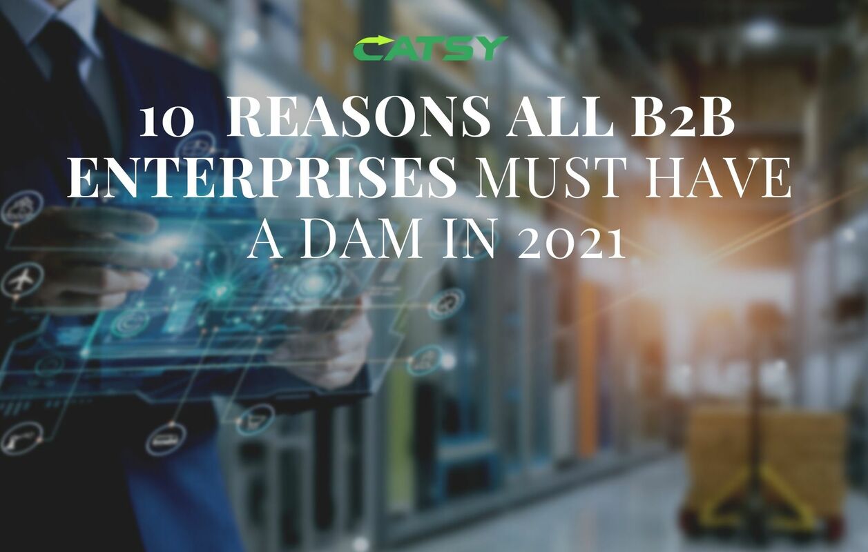 10 Reasons all B2B eCommerce Enterprises Must Have a DAM in 2021. DAM