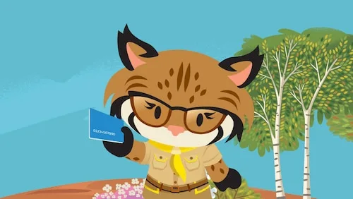 Now Accepting Payments With Salesforce Billing Payment Apps