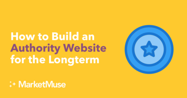 How to Build an Authority Website for the Longterm