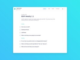 Bdr weekly 1:1 template (7 topics and ideas) 
