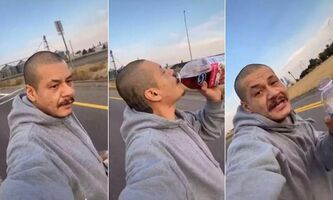 The Sweat of Discipline v. Going Viral in B2B Marketing