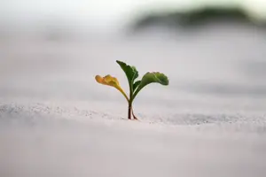 What is Lead Generation in Marketing?