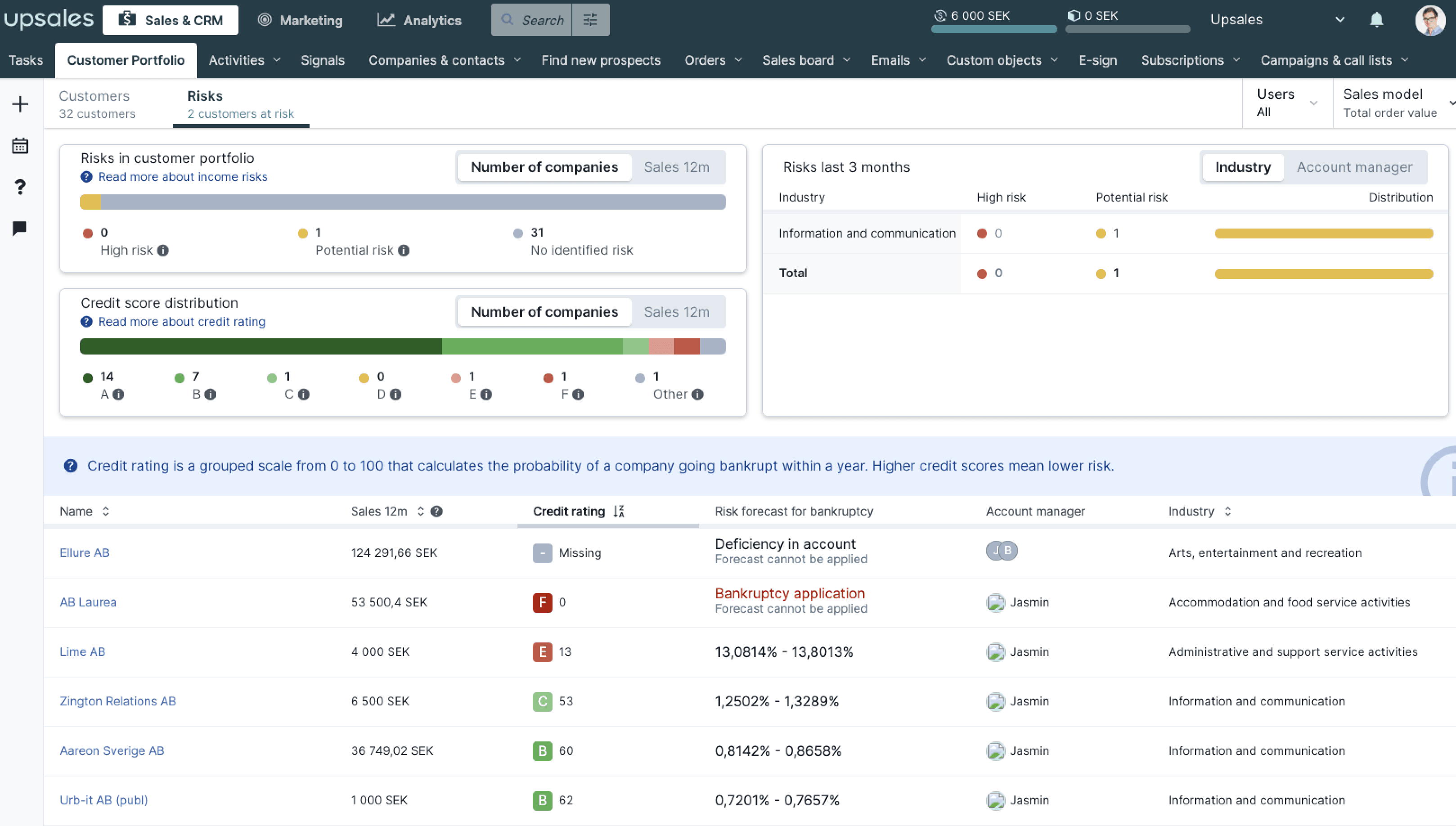 Announcing: Customer Portfolio - Your Gateway to Enhanced Business Intelligence