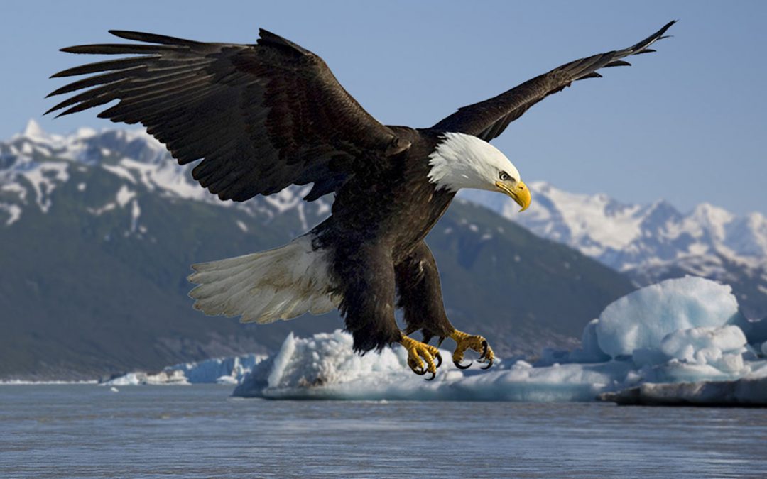 5 Tips To Conquer Your LeadIQ Trial