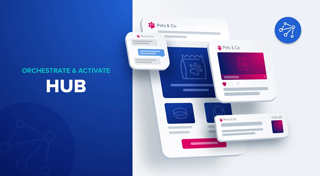 SmartHub CDP Explained: Breaking Down the Hub