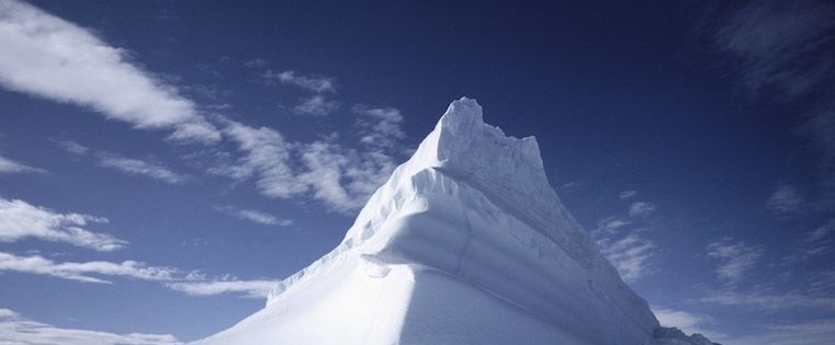 The 5 Skills that Set Top-Performing Salespeople Apart, According to New Data