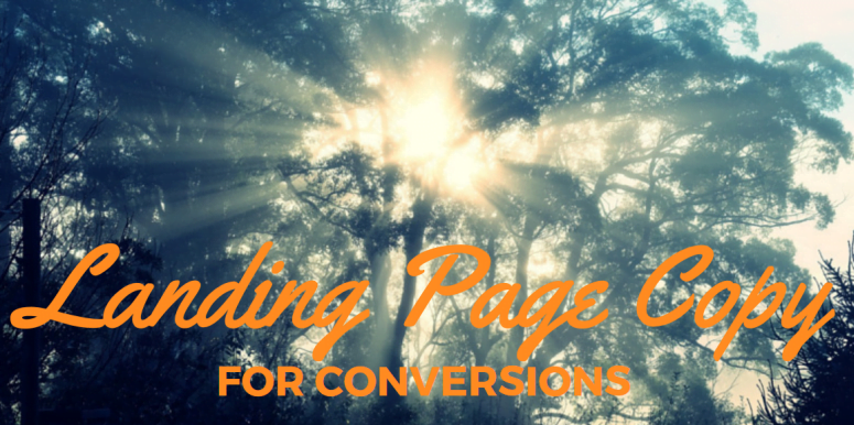 6 Landing Page Copywriting Principles for More Conversions