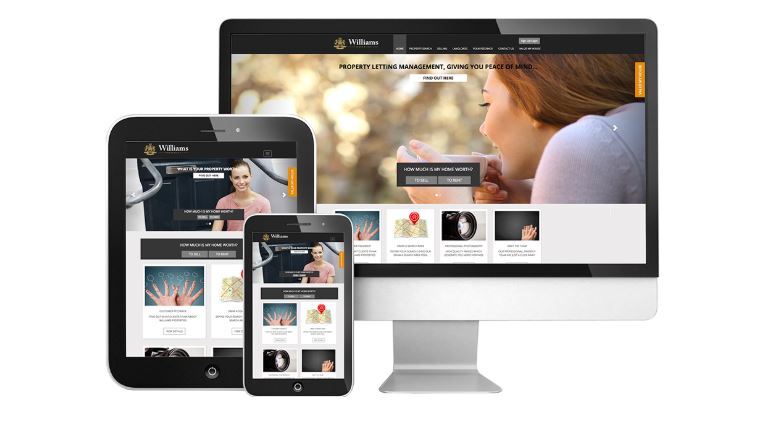 About The Property Jungle