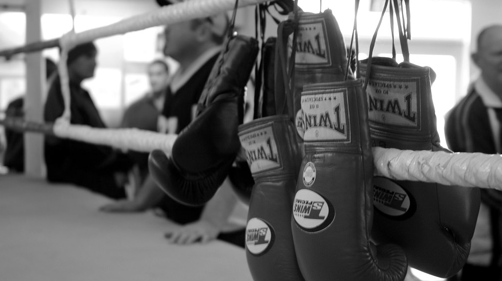 SEO vs SEM: Lead generation for web designers & developers