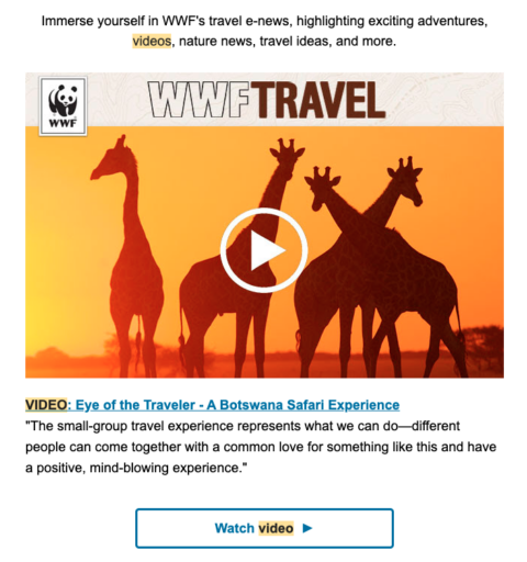 Videos in Email Marketing | Twilio SendGrid