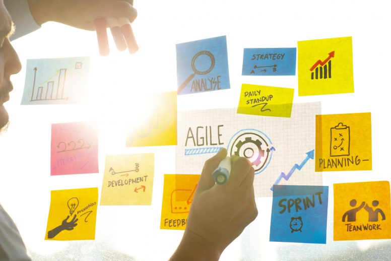 The Agile Values and Principles in Project Management