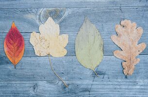 6 Ideas to Repurpose Content that Require Very Little Effort