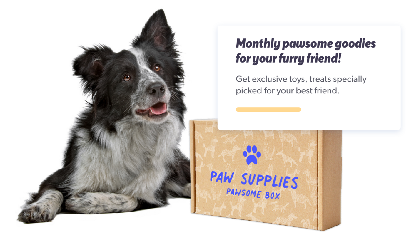 Pet Marketing Strategies For Treat-Worthy Ecommerce