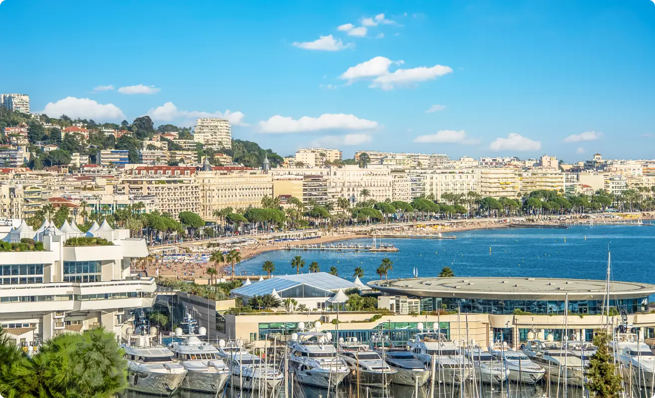 Take a Sip of Rosé Every Time You Hear AI