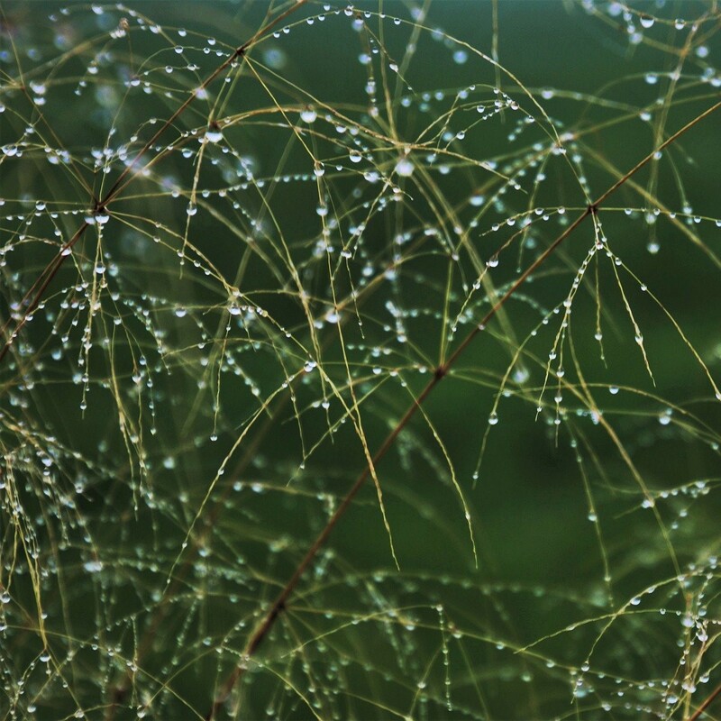  Predictions 2020: Transparency | ExchangeWire.com