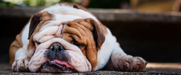 The Most Common Productivity Killers (and How to Stop Them) [Infographic]