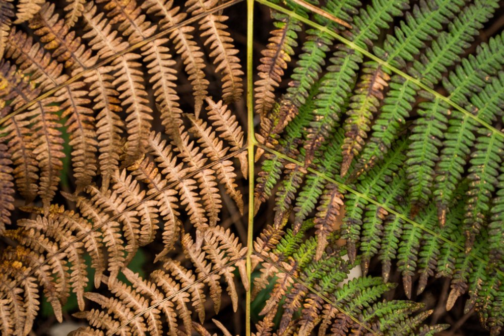 Pros and cons of virtual reality sales rooms