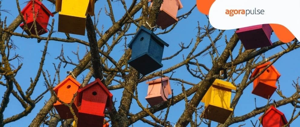 What to Tweet: Content Tips for Experienced Social Media Managers