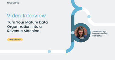 Turn Your Mature Data Organization into a Revenue Machine