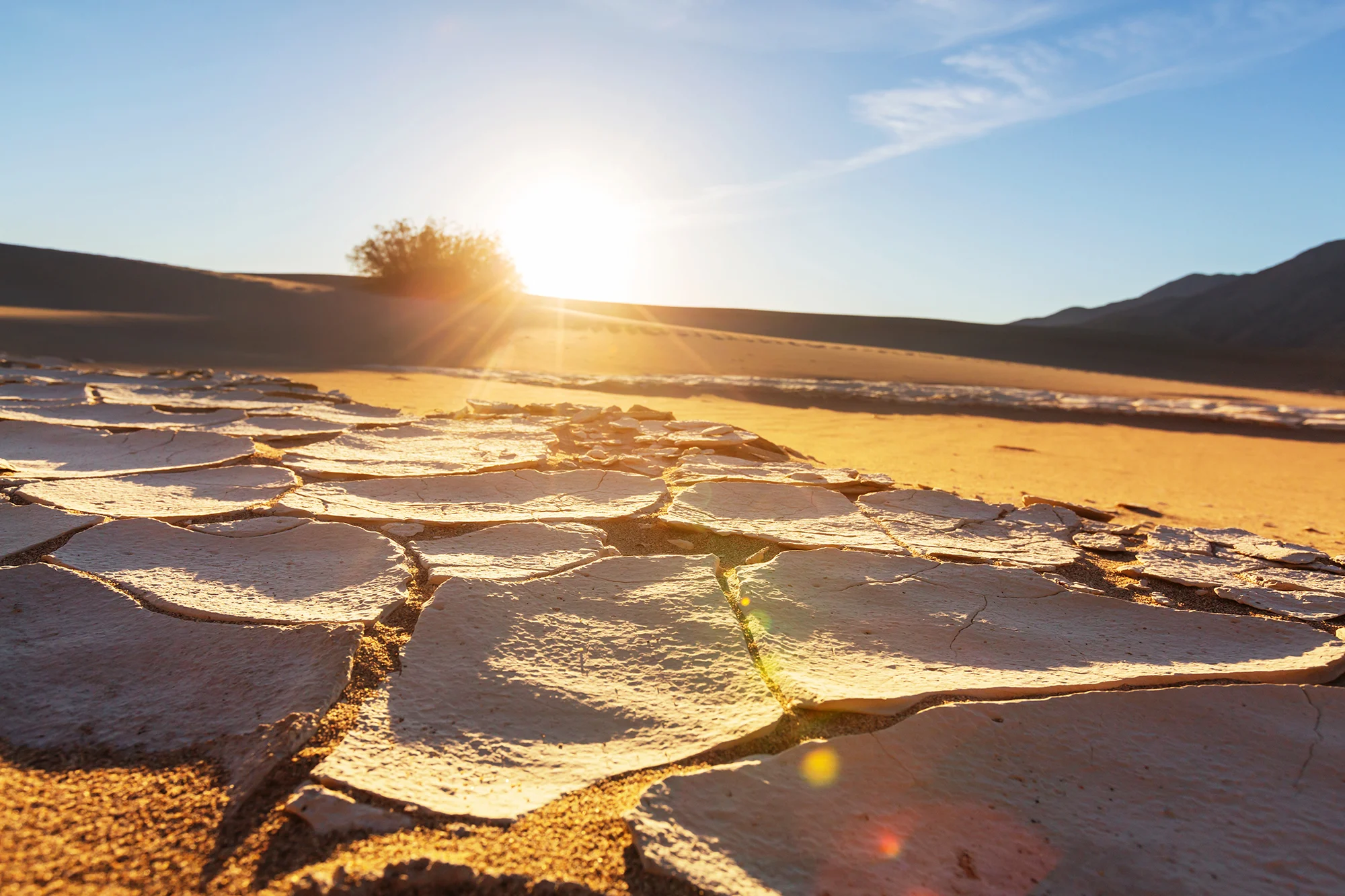 3 ways CMOs can overcome the data capability drought