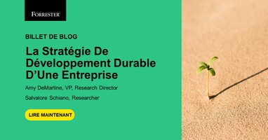 Qu'Est-Ce Que La Stratégie De Développement Durable D'une Entreprise