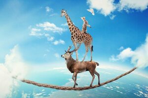 Why Customer Trust is Important in Amazon's Success