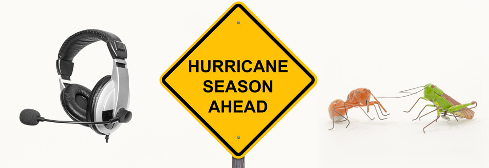 Sales by Phone, Hurricanes, Ants, and Grasshoppers