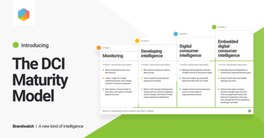 The Digital Consumer Intelligence Maturity Model