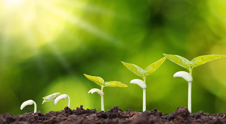 7 tips for fast CRM adoption