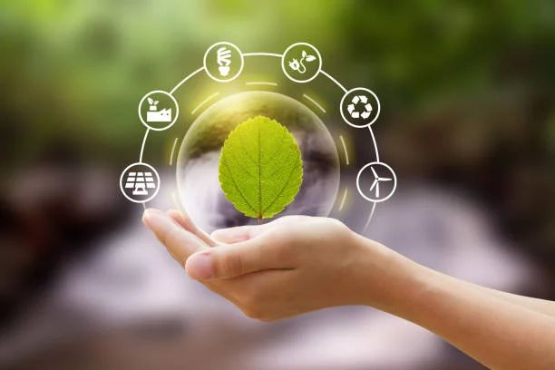 5 Impactful Sustainable Business Practices