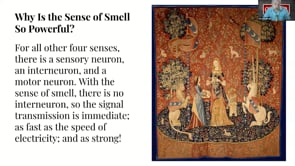 Embedded A Step-by-Step Guide to Analytics Success